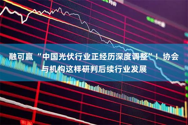 融可赢 “中国光伏行业正经历深度调整”！协会与机构这样研判后续行业发展